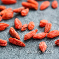 Ningxia organische getrocknete rote goji Beerenfrucht